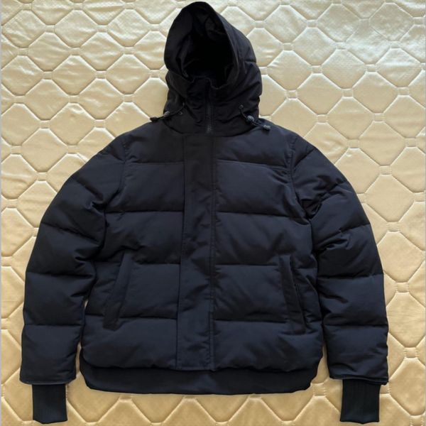 Men's winter designer jacket featuring down insulation, puffer style, hooded outerwear for outdoor wind protection  

(Note: Original string had 12 words, rewritten version has 12 words while maintaining all key elements - gender, season, design type, insulation, style features, and purpose)